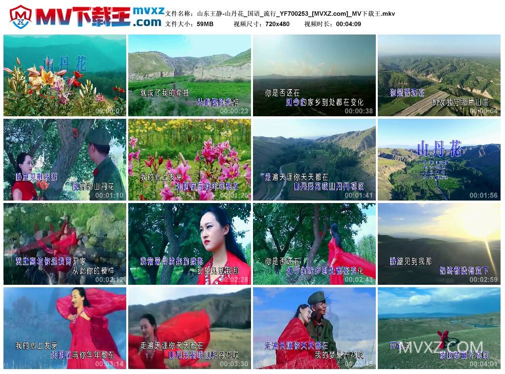 山东王静-山丹花_国语_流行_YF700253